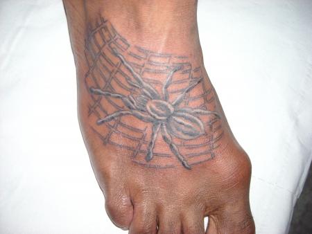 spider